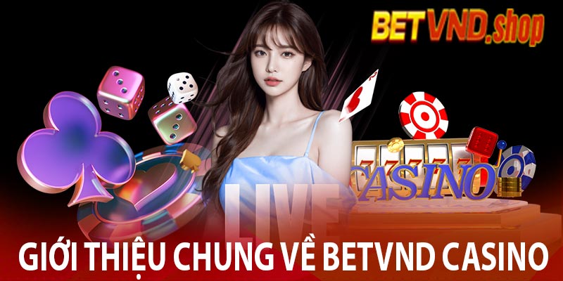 Giới thiệu chung về Betvnd Casino